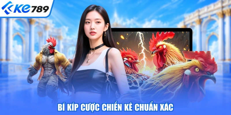 Bí kíp cược chiến kê chuẩn xác