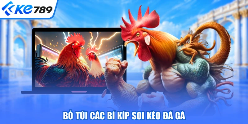 Bỏ túi các bí kíp soi kèo đá gà
