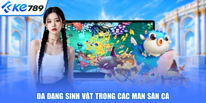 Đa dạng sinh vật trong các màn săn cá