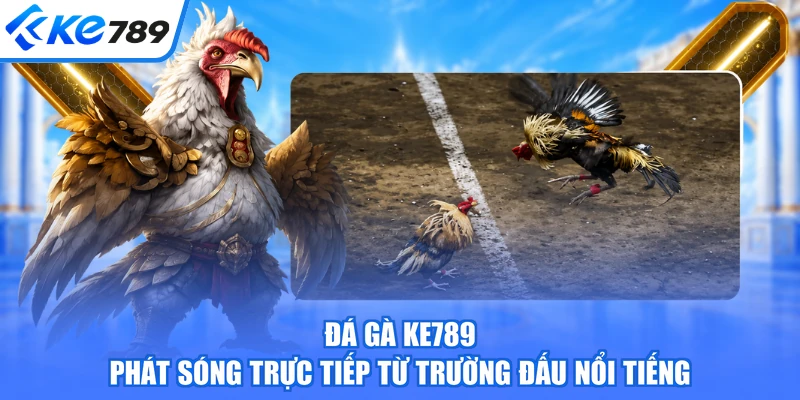 Đá gà KE789 phát sóng trực tiếp từ trường đấu nổi tiếng