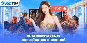 Đá Gà Philippines KE789 - Đấu Trường Chọi Kê Nghẹt Thở