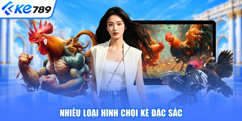 Nhiều loại hình chọi kê đặc sắc